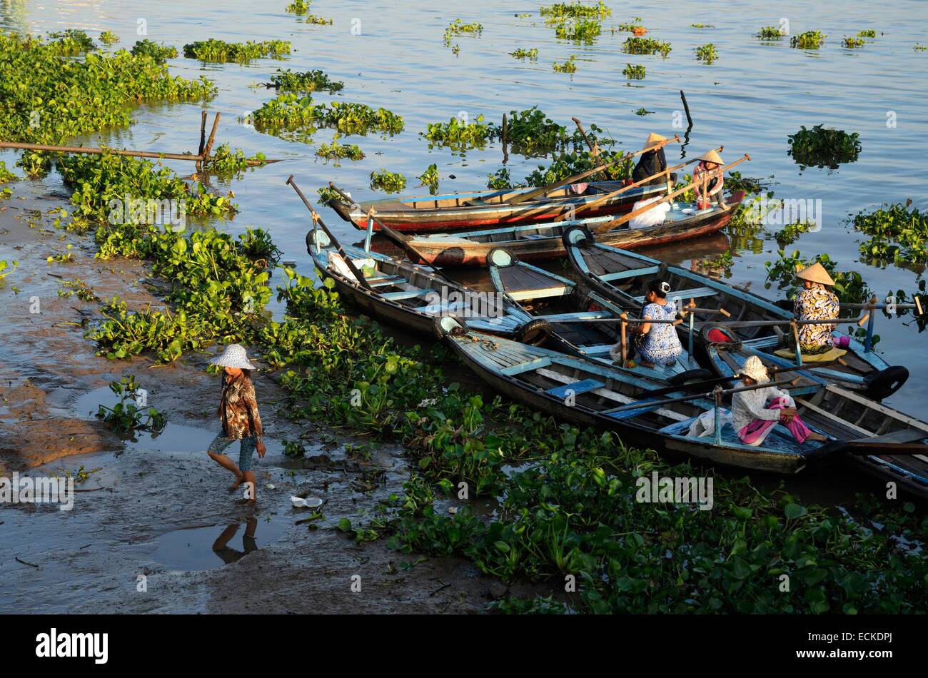 Vietnam, el delta del Mekong, de la provincia de An Giang, Chau Doc, boatwomen Foto de stock