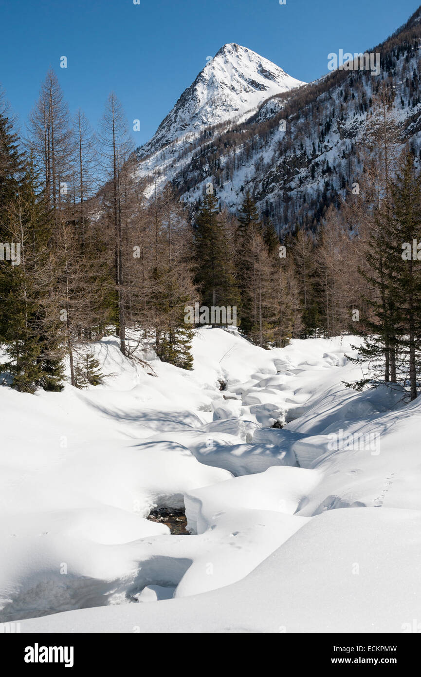 Paisaje de montaña con stream bajo la nieve Foto de stock