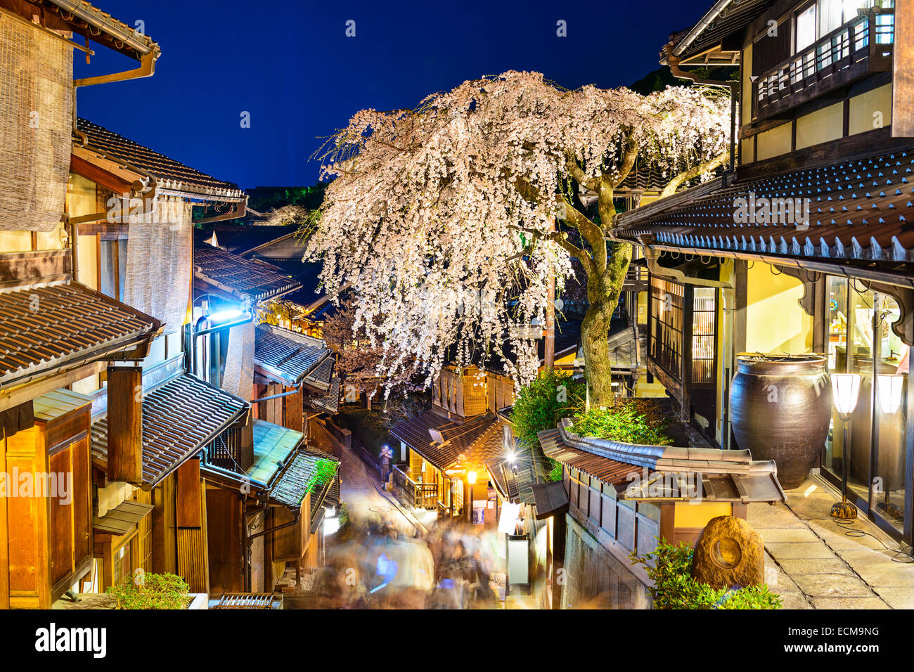 Kyoto, Japón callejón escena en el Distrito Higashiyama en la noche durante la temporada de primavera. Foto de stock