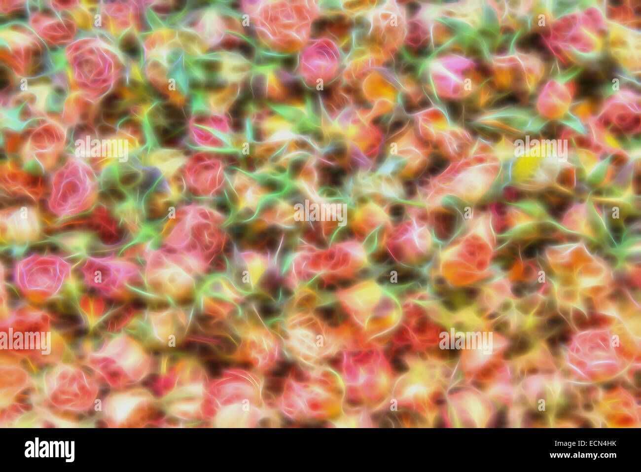 Pastel suave de fondo a partir de una imagen base de pequeñas rosas secas Foto de stock