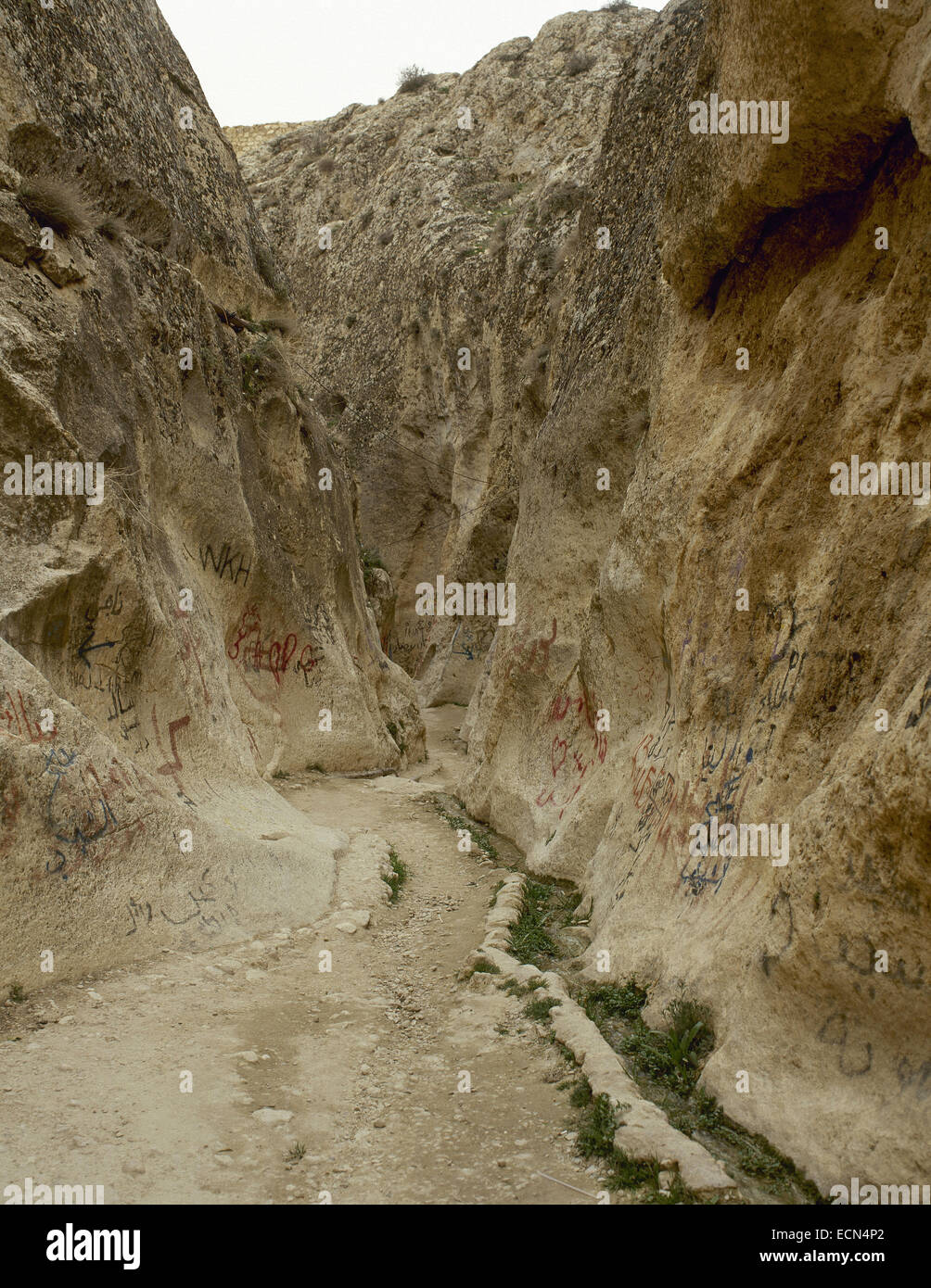 Siria. Maalula. Ciudad construida en la escarpada ladera de la montaña. Gorge. Cercano Oriente. Foto de stock