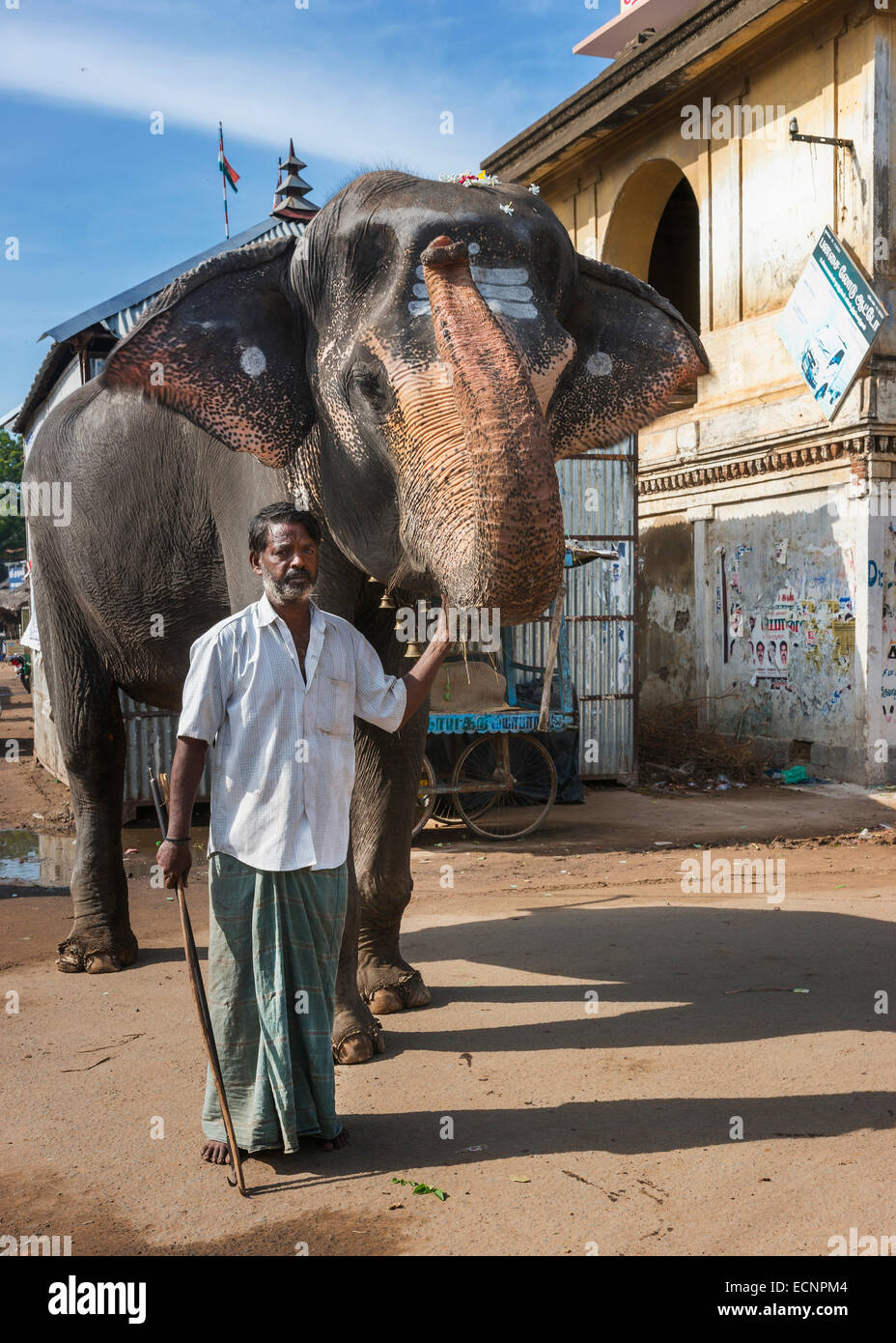 Mahout y su elefante. Foto de stock
