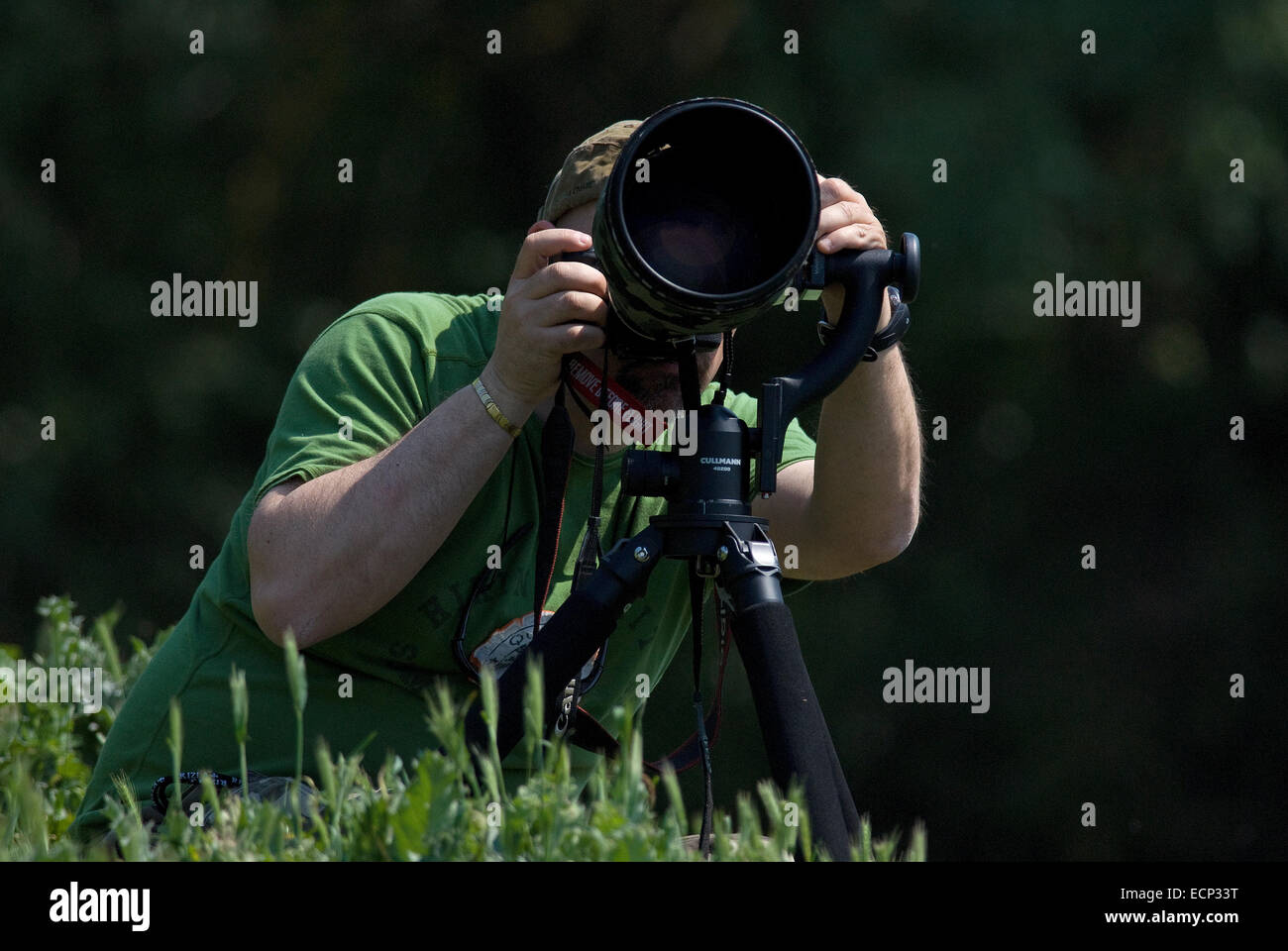 Fotógrafo de la naturaleza en el trabajo, el delta del Danubio, Rumania, Europa Foto de stock