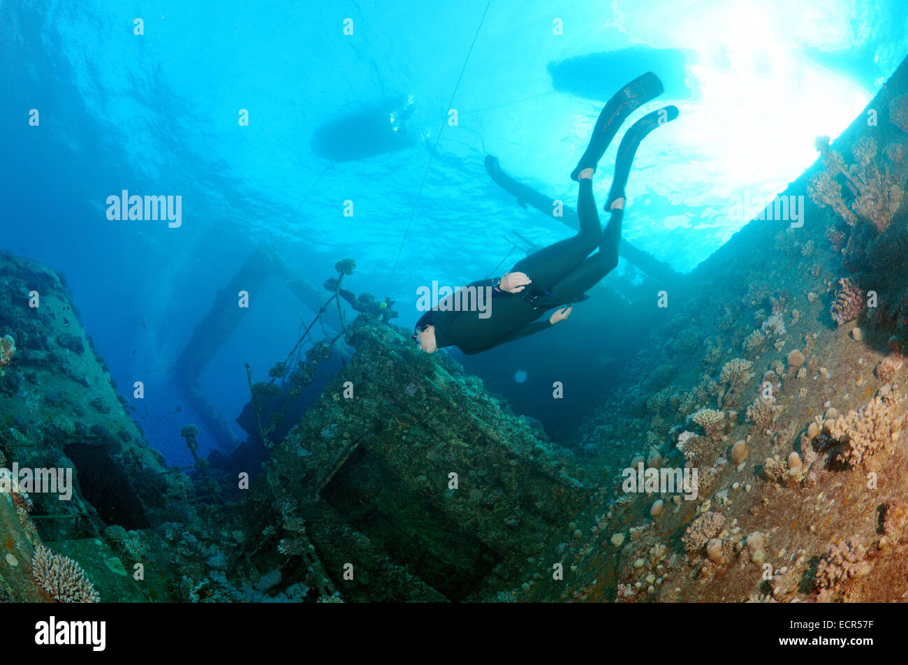 Apneista se zambulle en la wreckship Gianis D. Mar Rojo, Sharm El Sheikh, Egipto Foto de stock