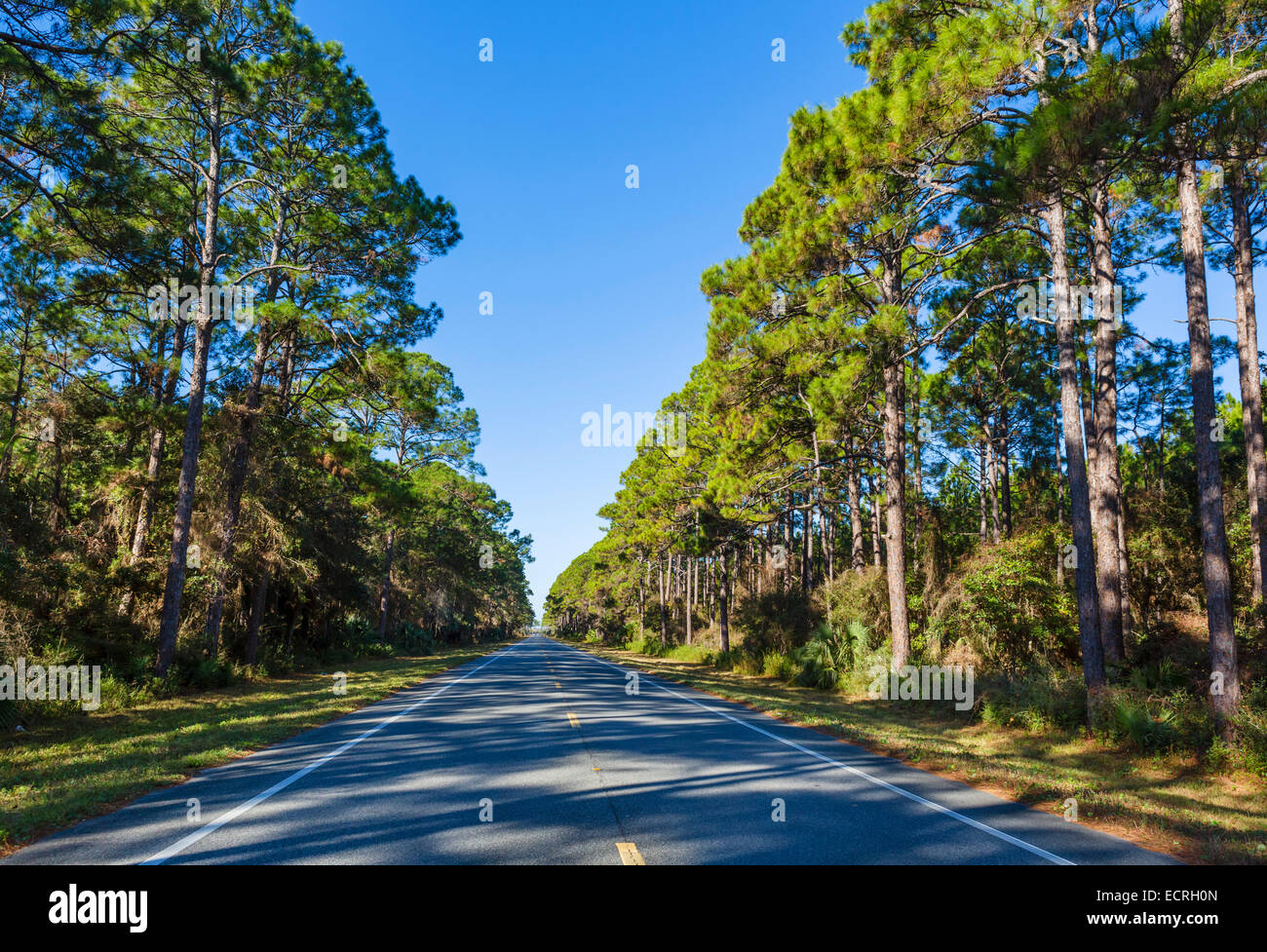 US98 al oeste de Apalachicola, Franklin County, Florida, EE.UU. Foto de stock