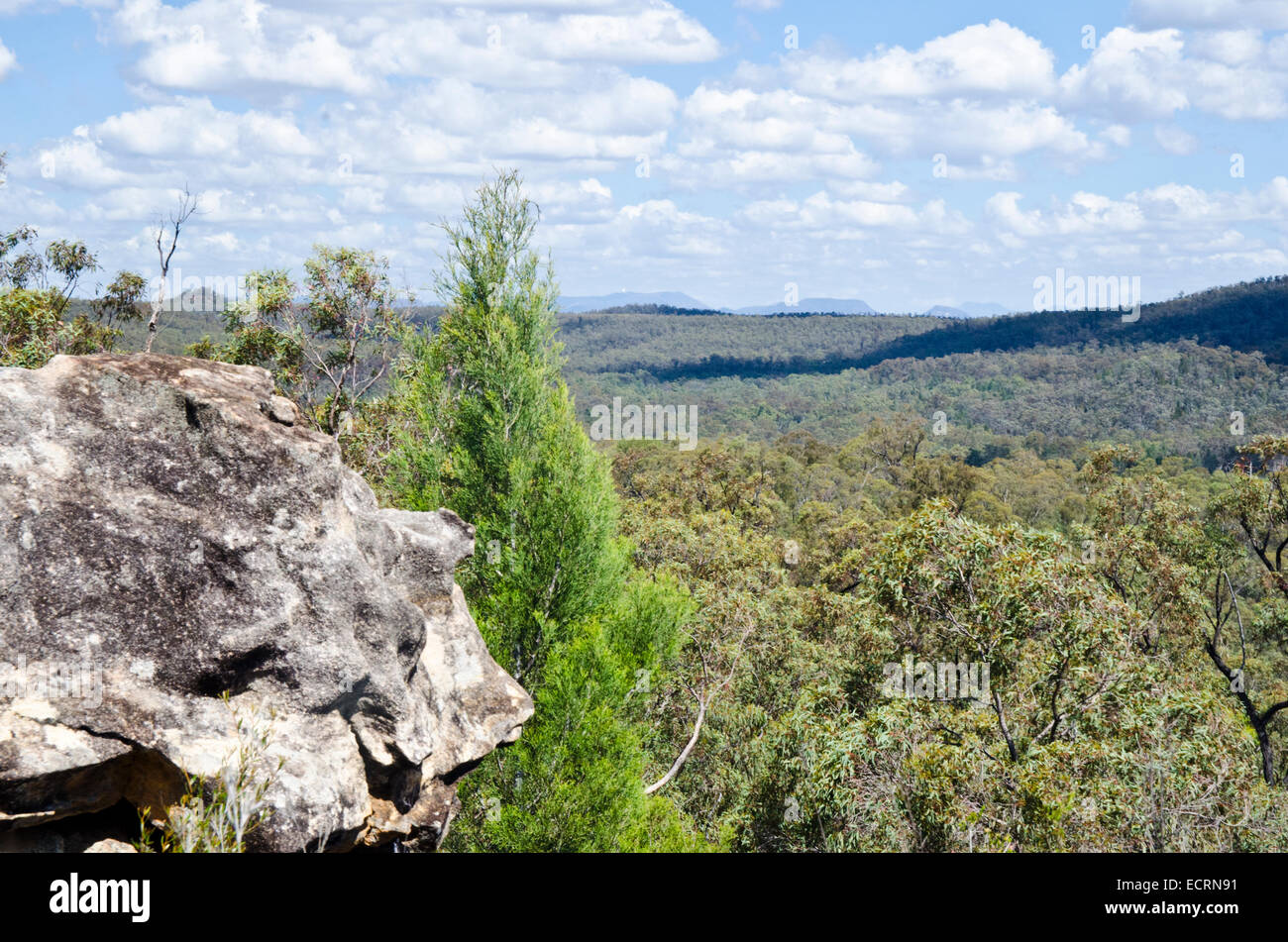 Parque Nacional Pilliga NSW, Australia aka el matorral Pilliga Foto de stock