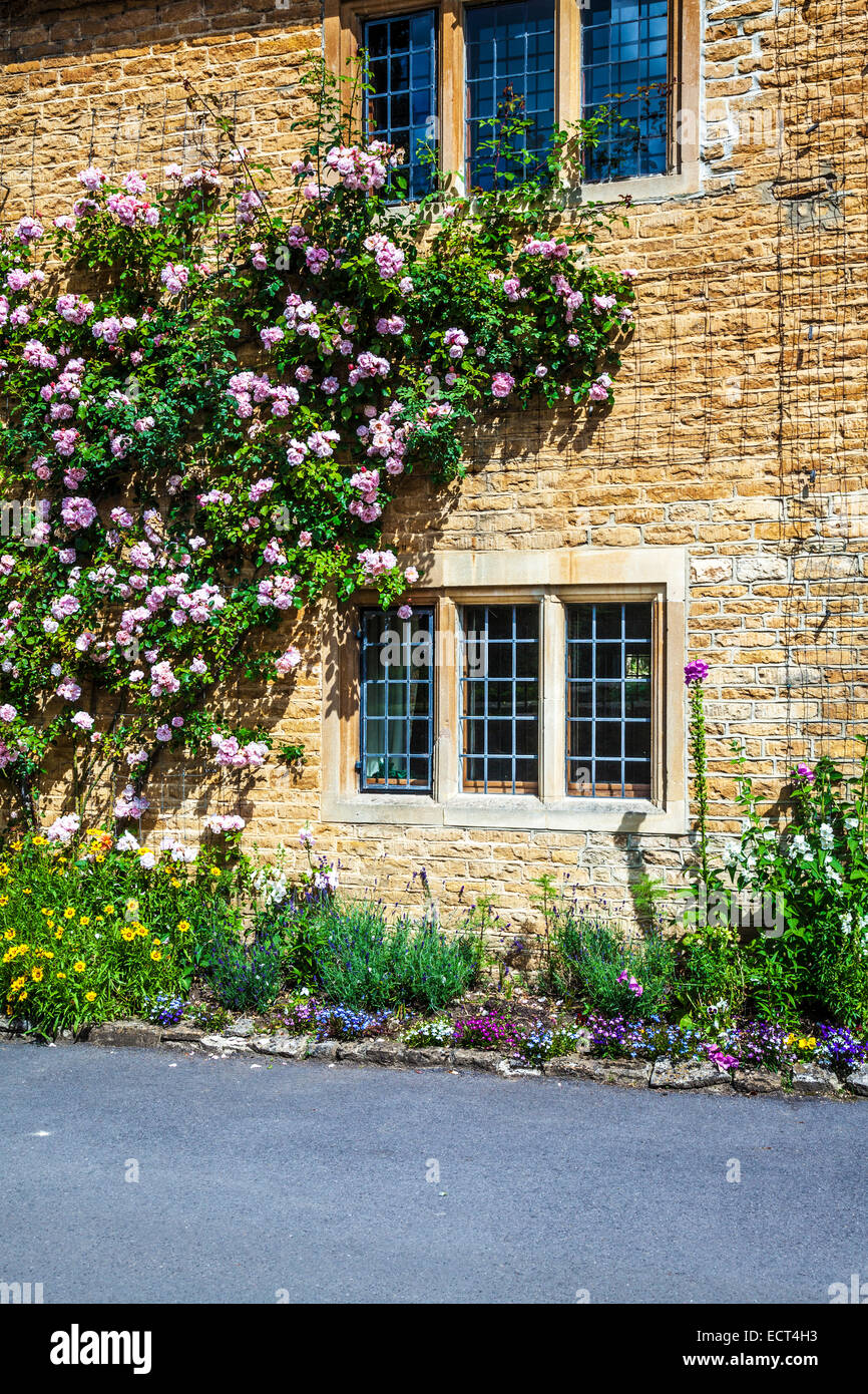 Casa de piedra de Cotswold frente con geminadas, vidrieras emplomadas y excursionismo de rosas. Foto de stock