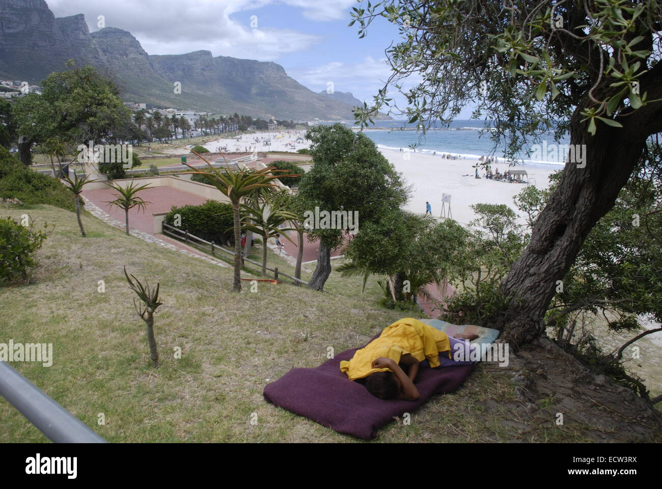Una persona sin hogar durmiendo bajo un árbol cerca de la playa de Camps Bay en Cape Town, Sudáfrica. Foto por: Adam Alexander/Alamy Foto de stock