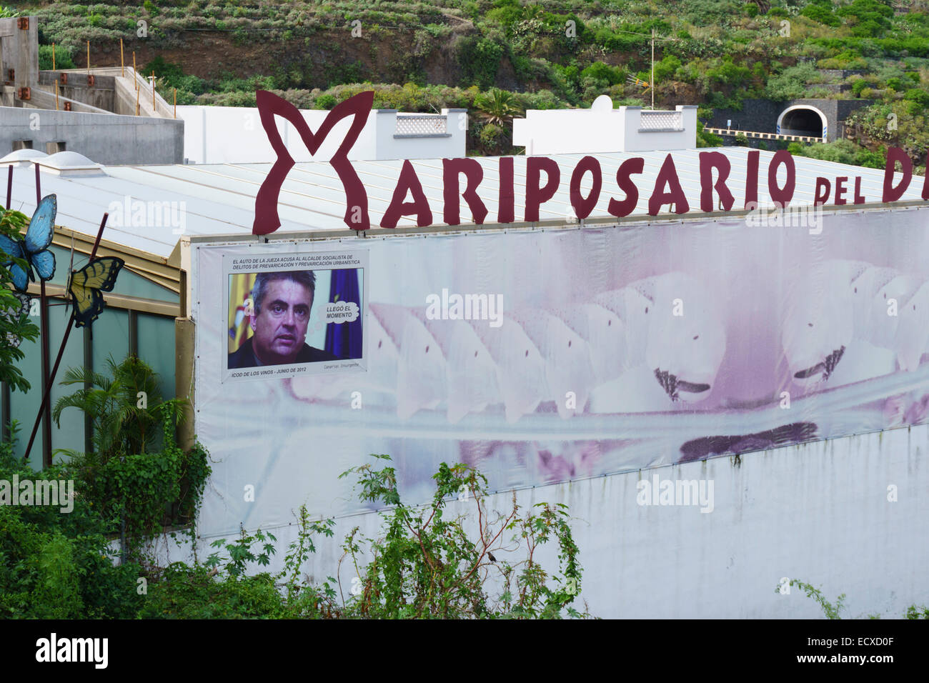 Tenerife - Icod de los vinos. La finca de mariposas Mariposario cerrado  debido a la venganza entre el alcalde local, los propietarios Fotografía de  stock - Alamy