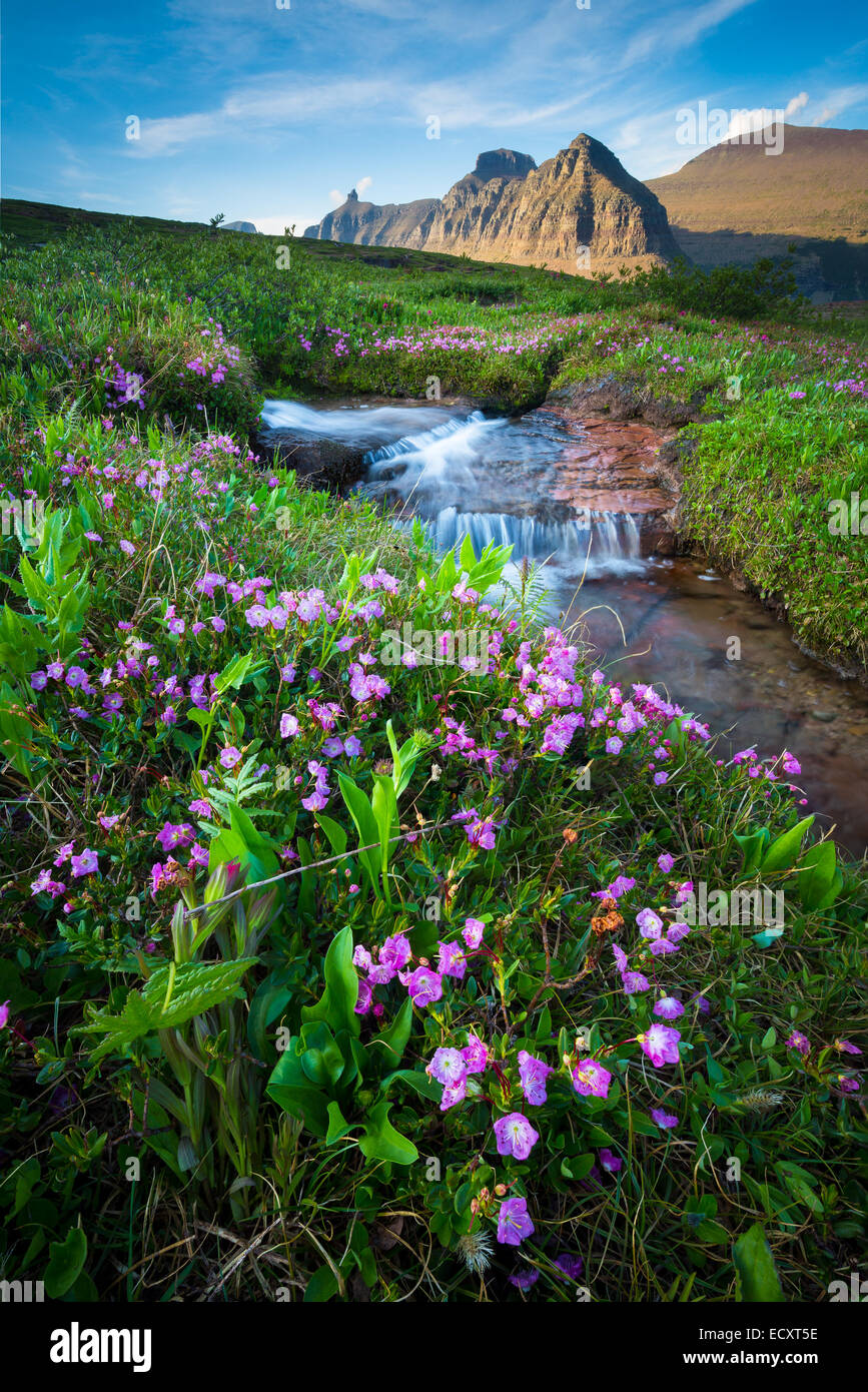 Logan Pass en el Parque Nacional de Los Glaciares, situado en el estado de Montana en EE.UU. Foto de stock