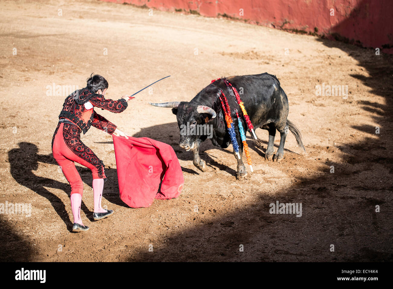 Torero dando el golpe de muerte, corridas de toros, el Barco de Avila, Avila, España Foto de stock