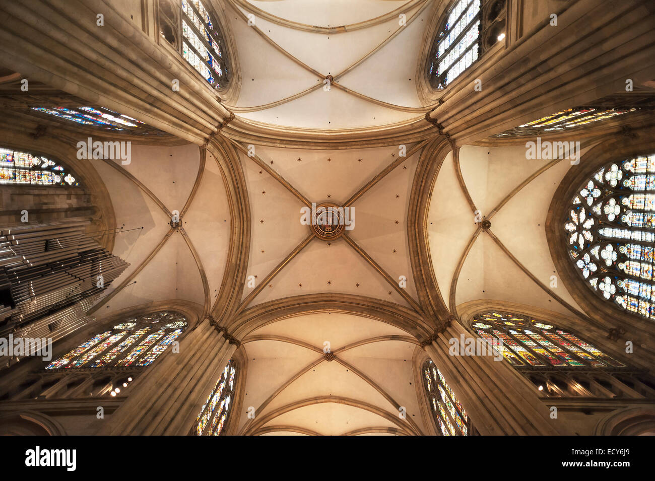 Bóveda gótica, de la catedral de Ratisbona, Dom San Pedro, construcción desde 1273, Regensburg, el Alto Palatinado, Baviera, Alemania Foto de stock