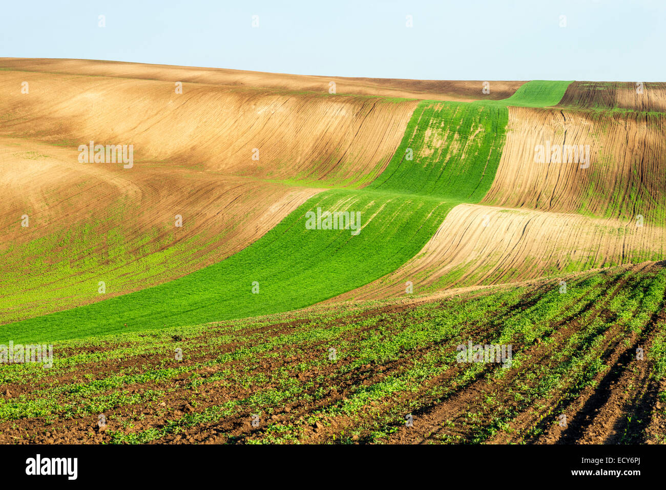 Campos ondulados, Hovorany Jihomoravsky Hodonin distrito, condado, República Checa Foto de stock