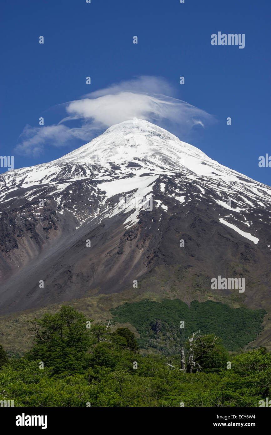 Volcán Lanin, Curarrehue, Región de Araucanía, Chile Foto de stock