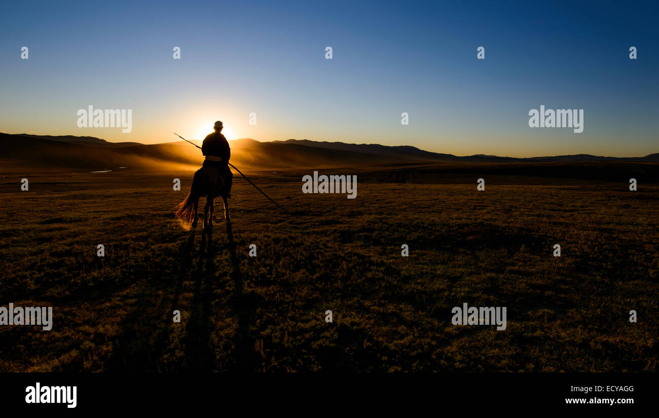 Herder caballos mongoles en la estepa de Mongolia Foto de stock