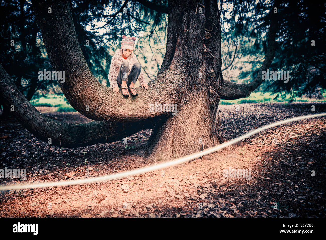 Raza mixta chica árbol en el parque de escalada Foto de stock
