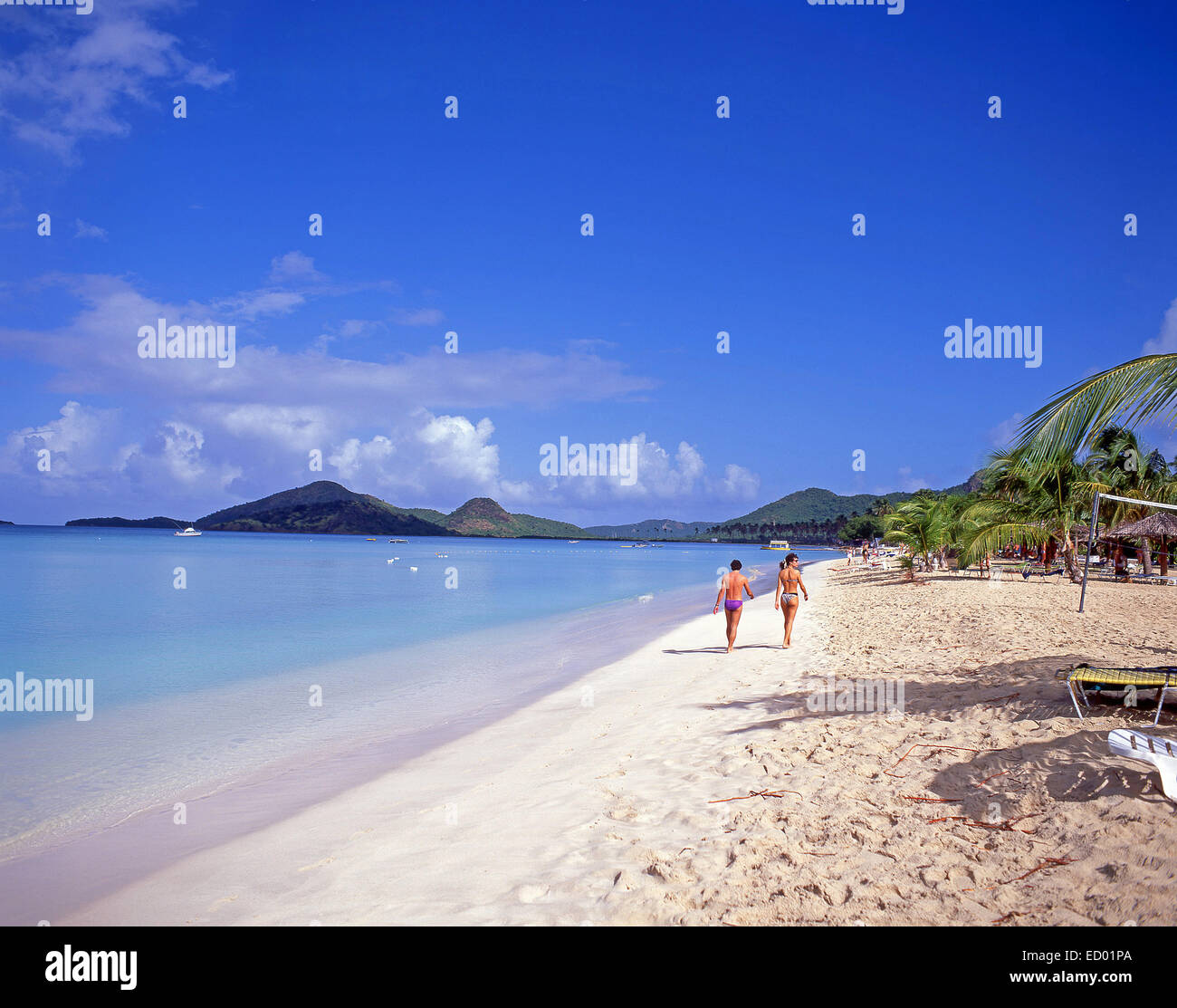 Vista a la playa, Jolly Beach Resort & Spa, de la parroquia de Santa María, Antigua, Antigua y Barbuda, Antillas, Caribe Foto de stock