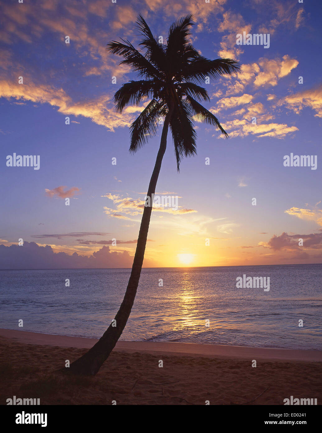 Puesta de sol tropical, playa de Darkwood, parroquia de Saint Mary's, Antigua, Antigua y Barbuda, Antillas, Caribe Foto de stock