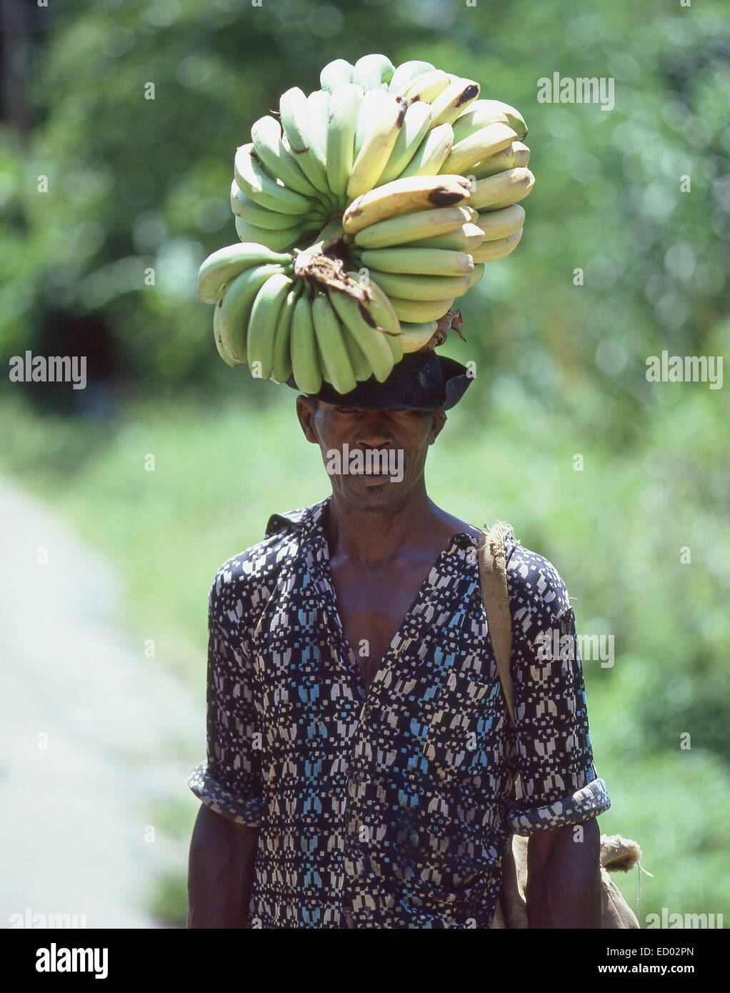Hombre local llevando un montón de plátanos en la cabeza, Santa Lucía, Antillas, Caribe Foto de stock