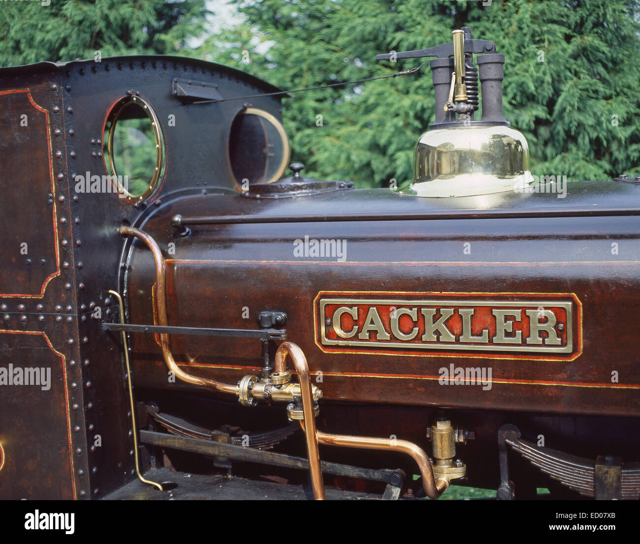 Locomotora a vapor "Cackler' en Thursford Collection, Thursford, Fakenham, Norfolk, Inglaterra, Reino Unido Foto de stock