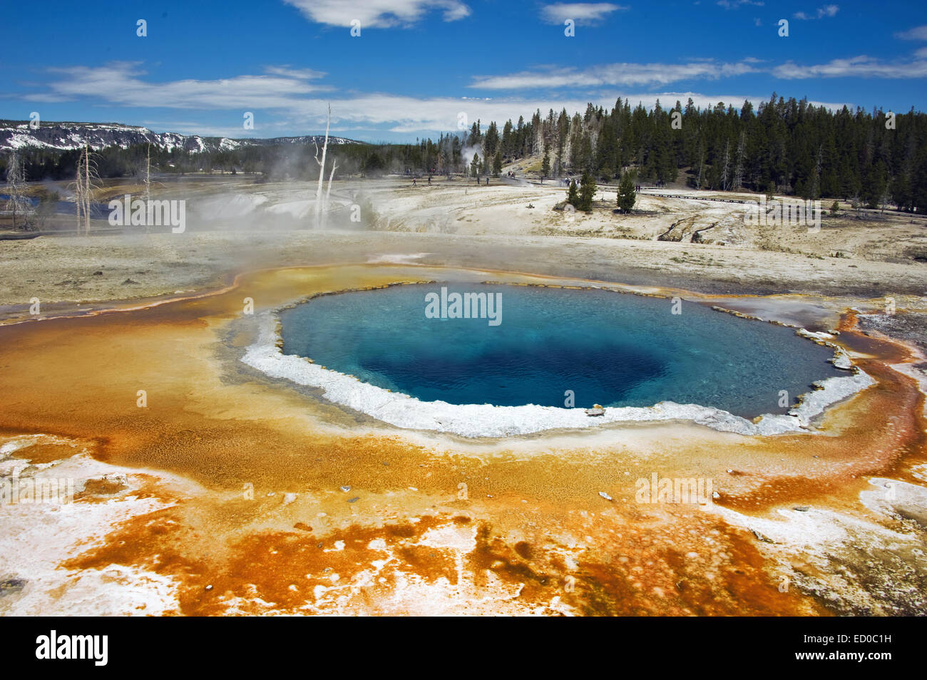 Ee.Uu., el Parque Nacional Yellowstone, Wyoming, Opal descubierta en la Cuenca del Géiser de Midway Foto de stock