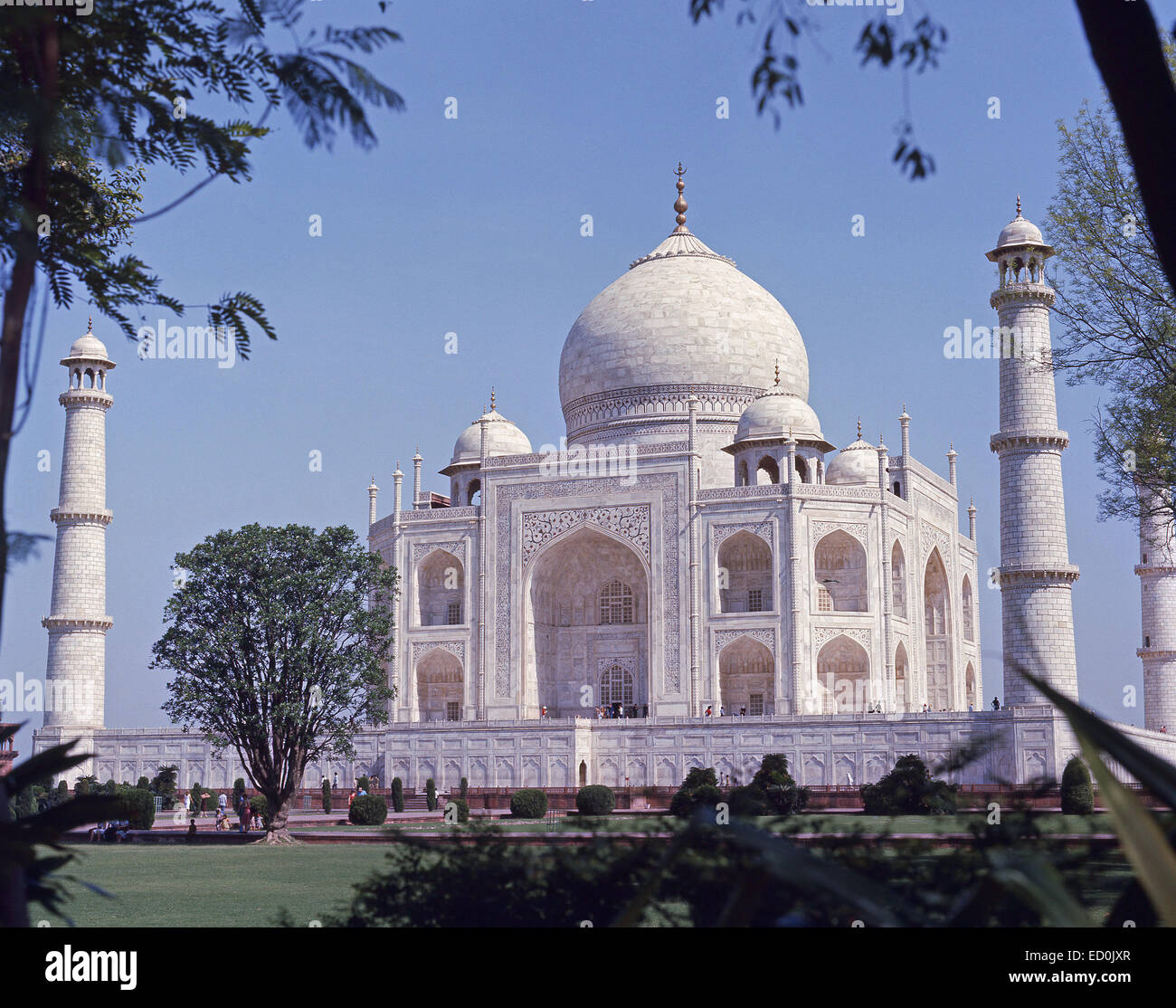 El Taj Mahal desde jardines Charbagh, Agra, Uttar Pradesh, República de la India Foto de stock