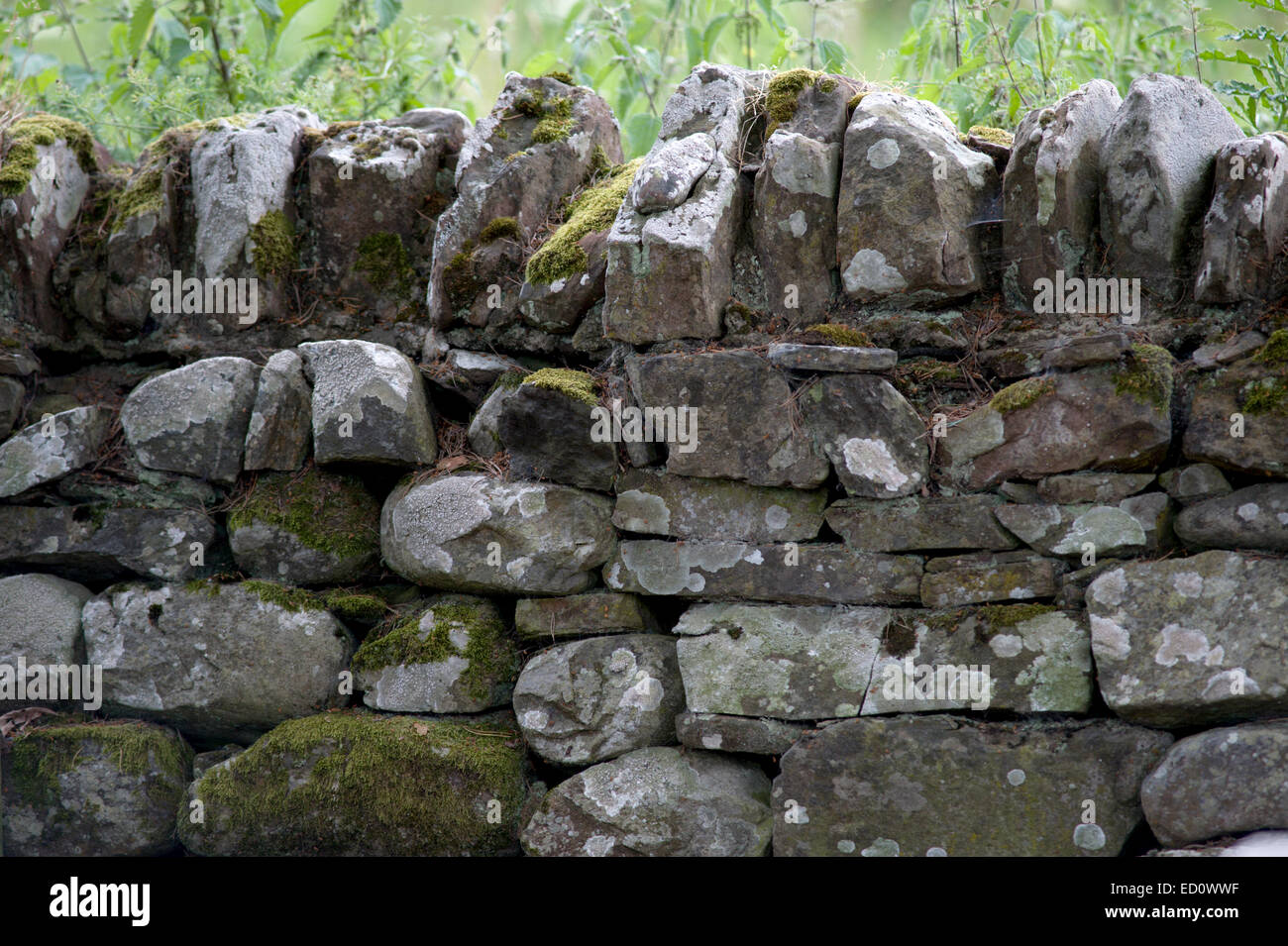 Cerrar detalle de un muro de piedra seca tradicional Foto de stock