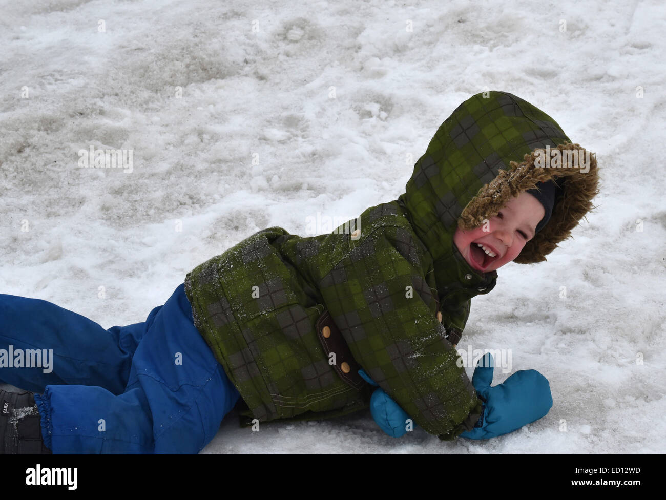 Un joven (2 1/2 años) riendo a rodar en la nieve Foto de stock