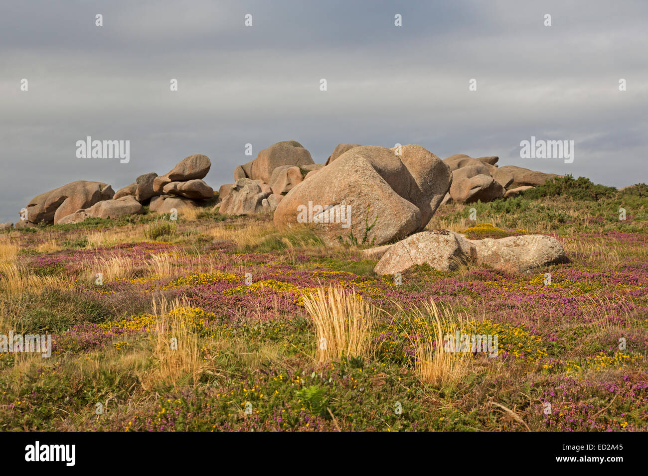 Rocas De Granito Rosa Britanny Fotos E Im genes De Stock Alamy