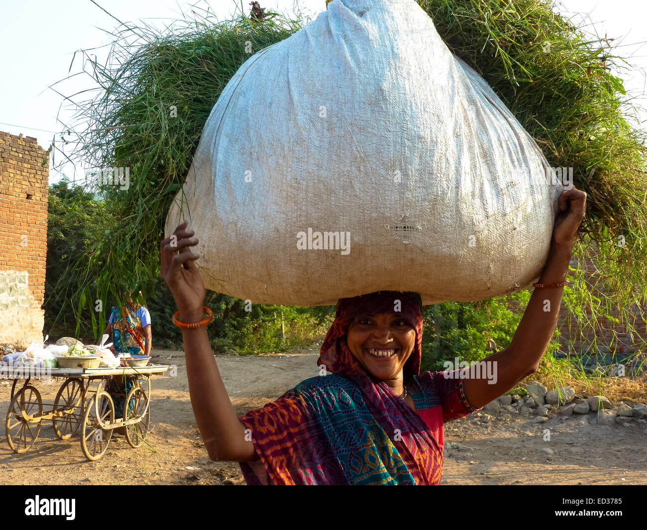 Mujer con los alimentos de origen animal en su cabeza, en Gujarat, India Foto de stock