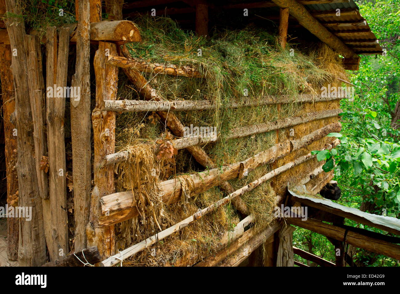 En el granero de heno tradicional aldea Yayla encima Barhal Póntico, al norte de los Alpes, Turquía Foto de stock