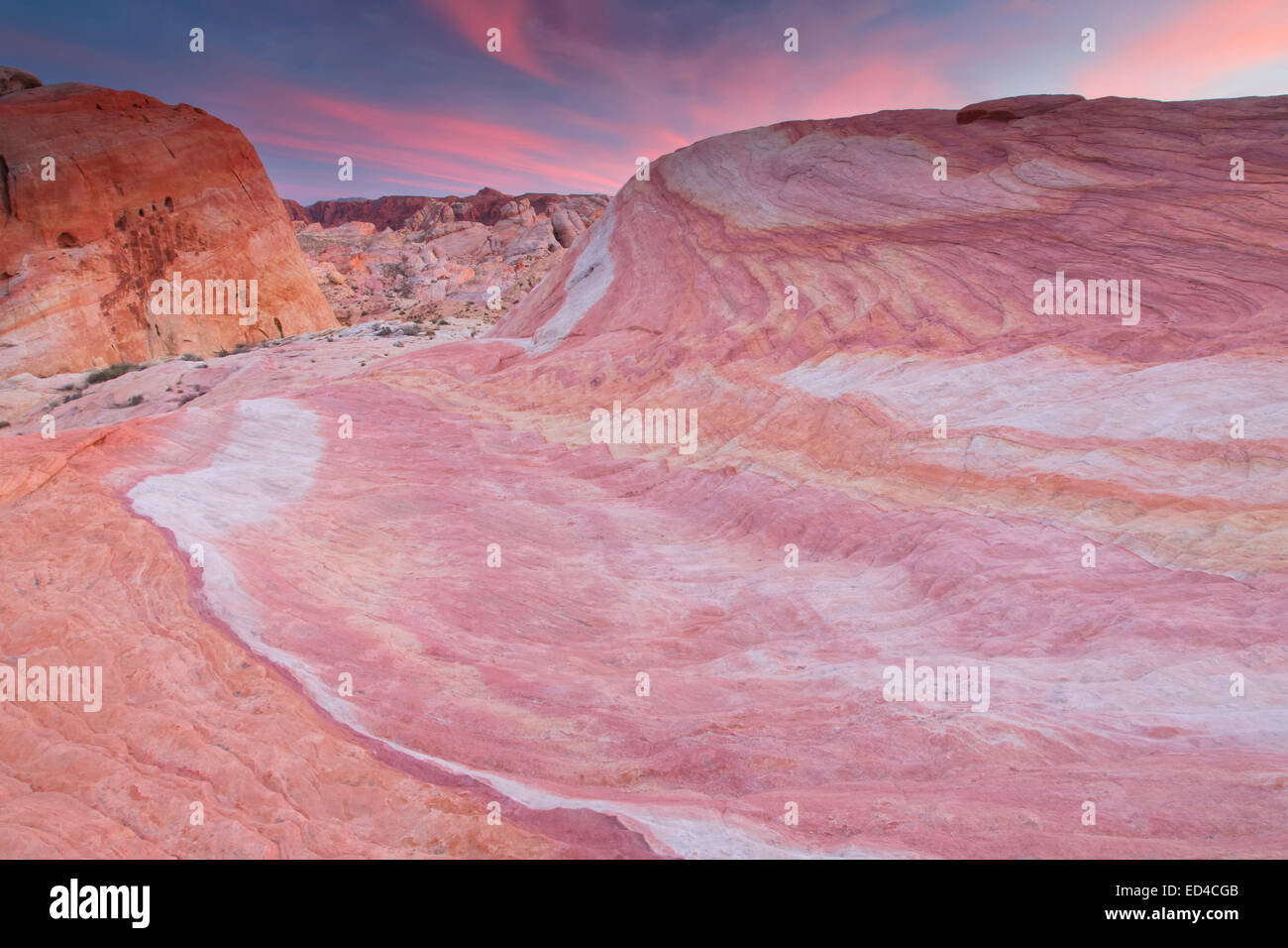 Arenisca coloridas, el Parque Estatal Valle del Fuego, cerca de Las Vegas, Nevada. Foto de stock