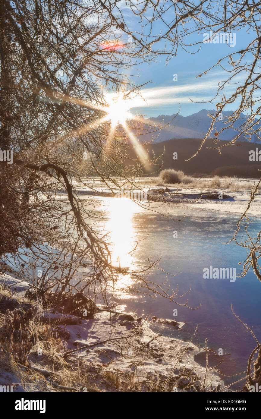 Sunburst de invierno sobre el río Chilkat enmarcada por ramas de árbol. Foto de stock