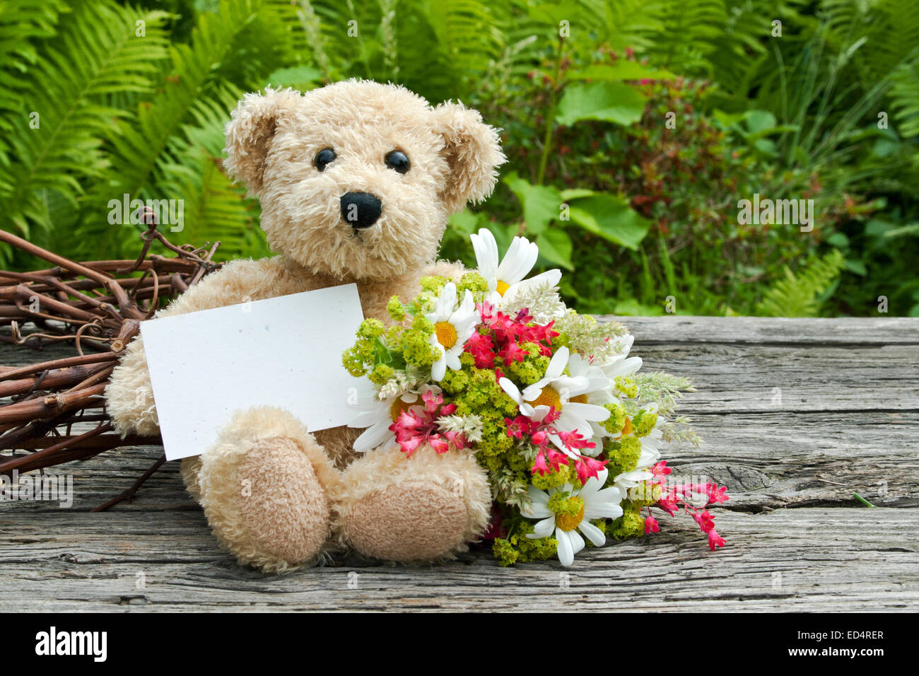 Cíclope seguridad Desafío Tarjeta de flores de oso de peluche fotografías e imágenes de alta  resolución - Alamy