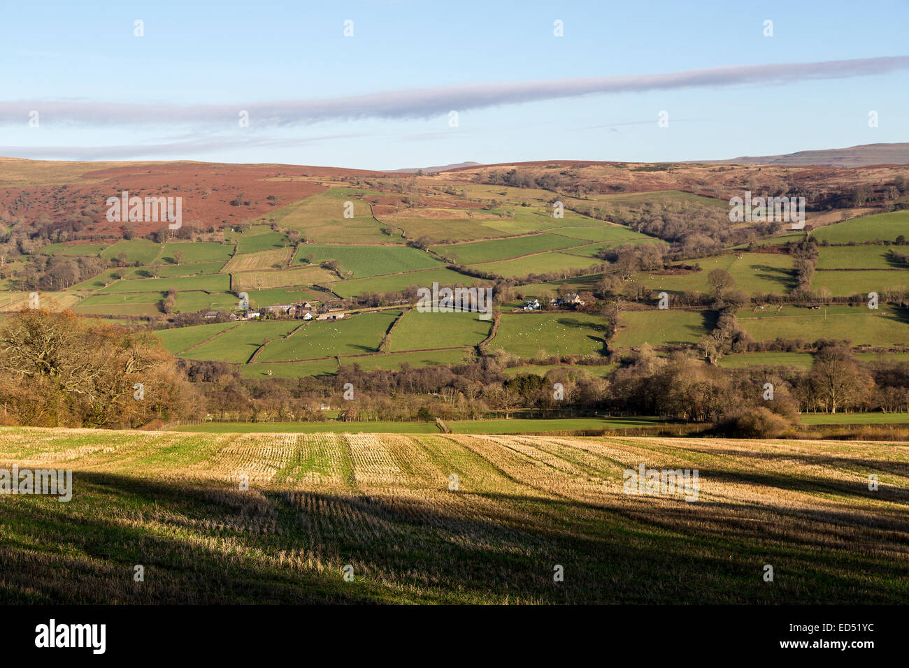 Rastrojo de campo y tierras de cultivo en el valle, Alt yr Esgair, South Wales, REINO UNIDO Foto de stock