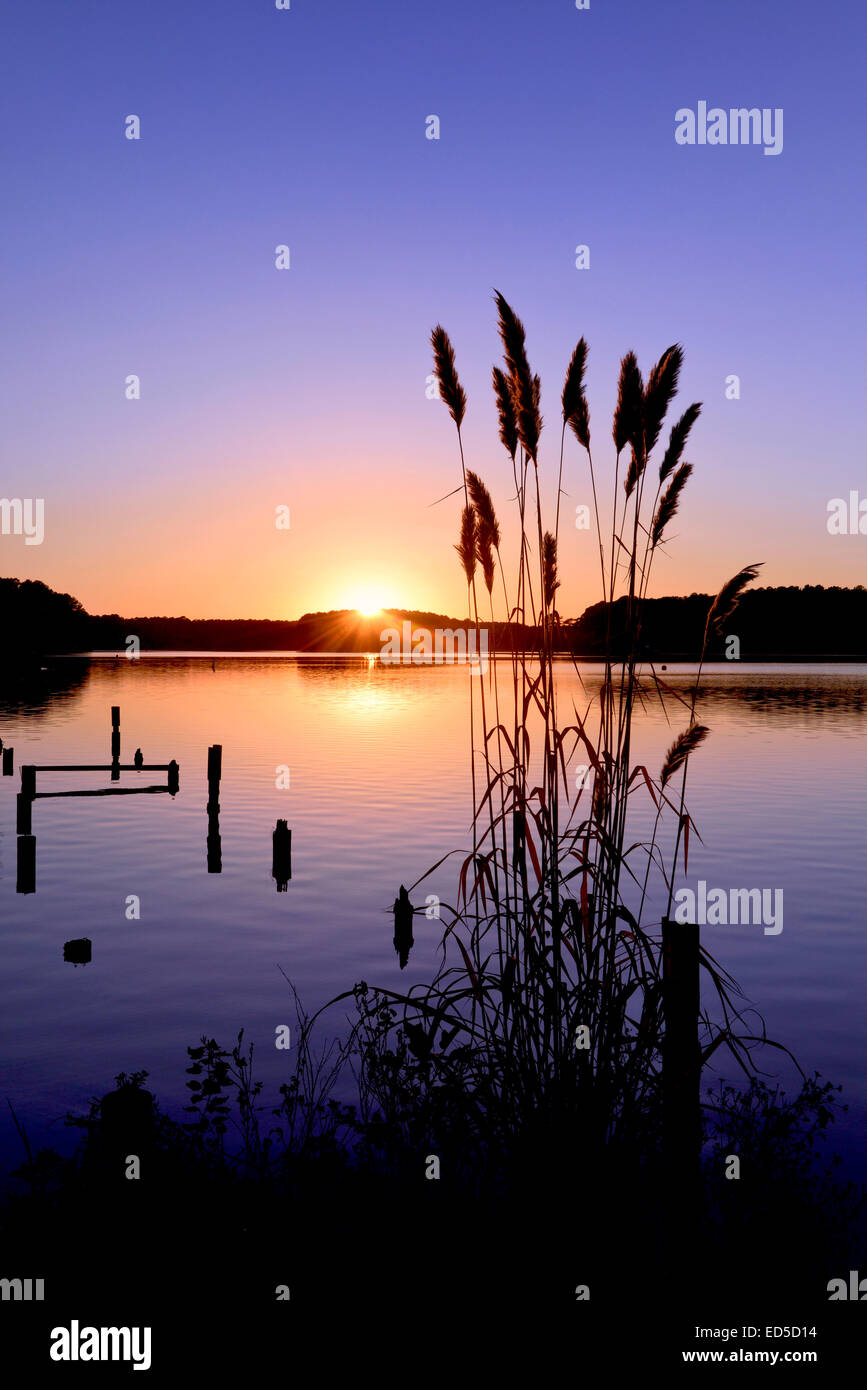Atardecer en el Whispering Pines Lake, Carolina del Norte, también conocido como Lago Thagards Foto de stock