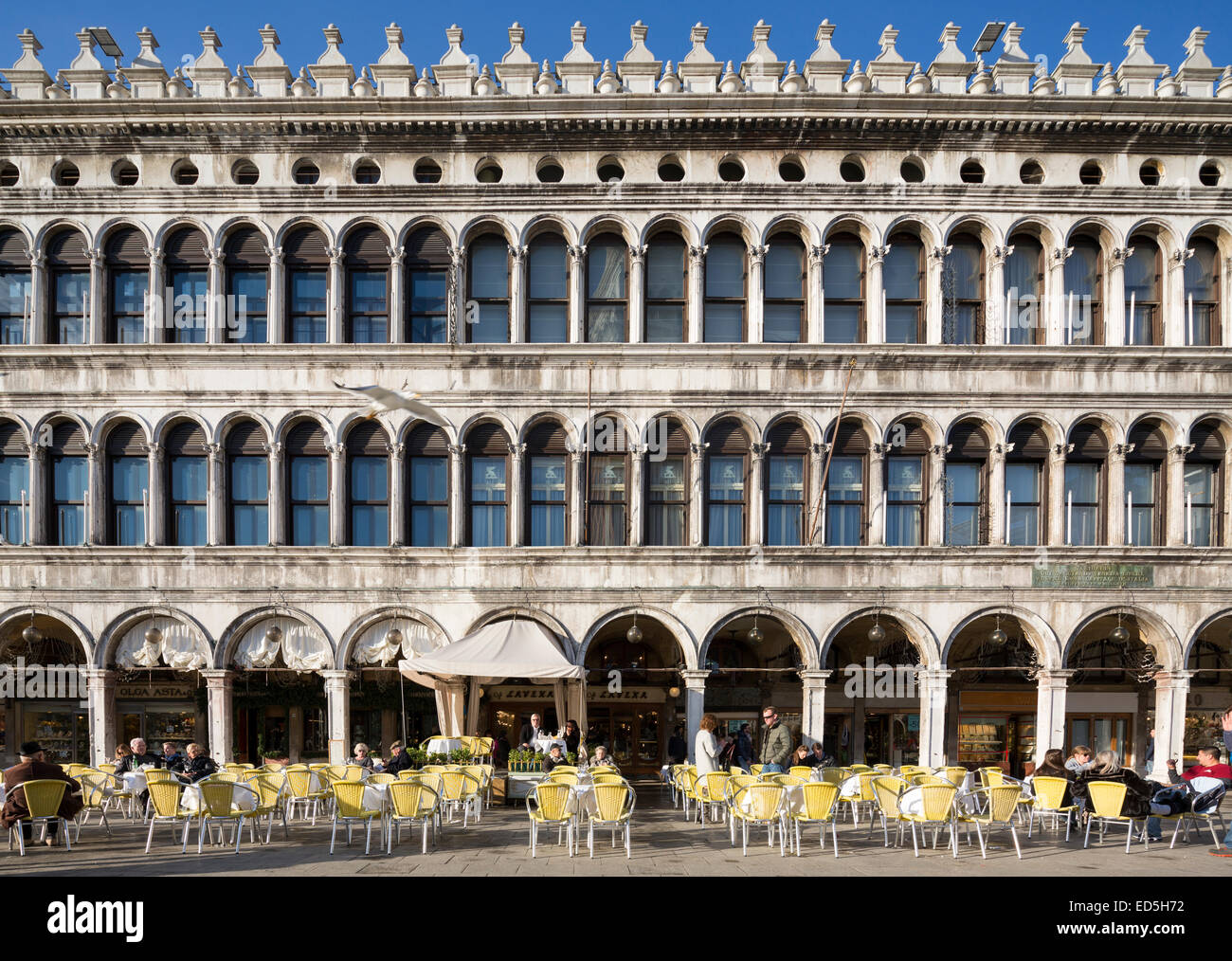 Caffé Lavena, Piazza San Marco, la Plaza de San Marcos, en Venecia, Italia Foto de stock