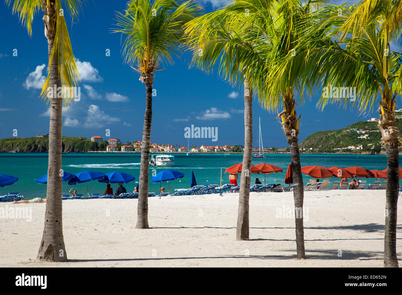 Las palmeras junto a la playa en Philipsburg, Sint Maarten, Antillas Foto de stock