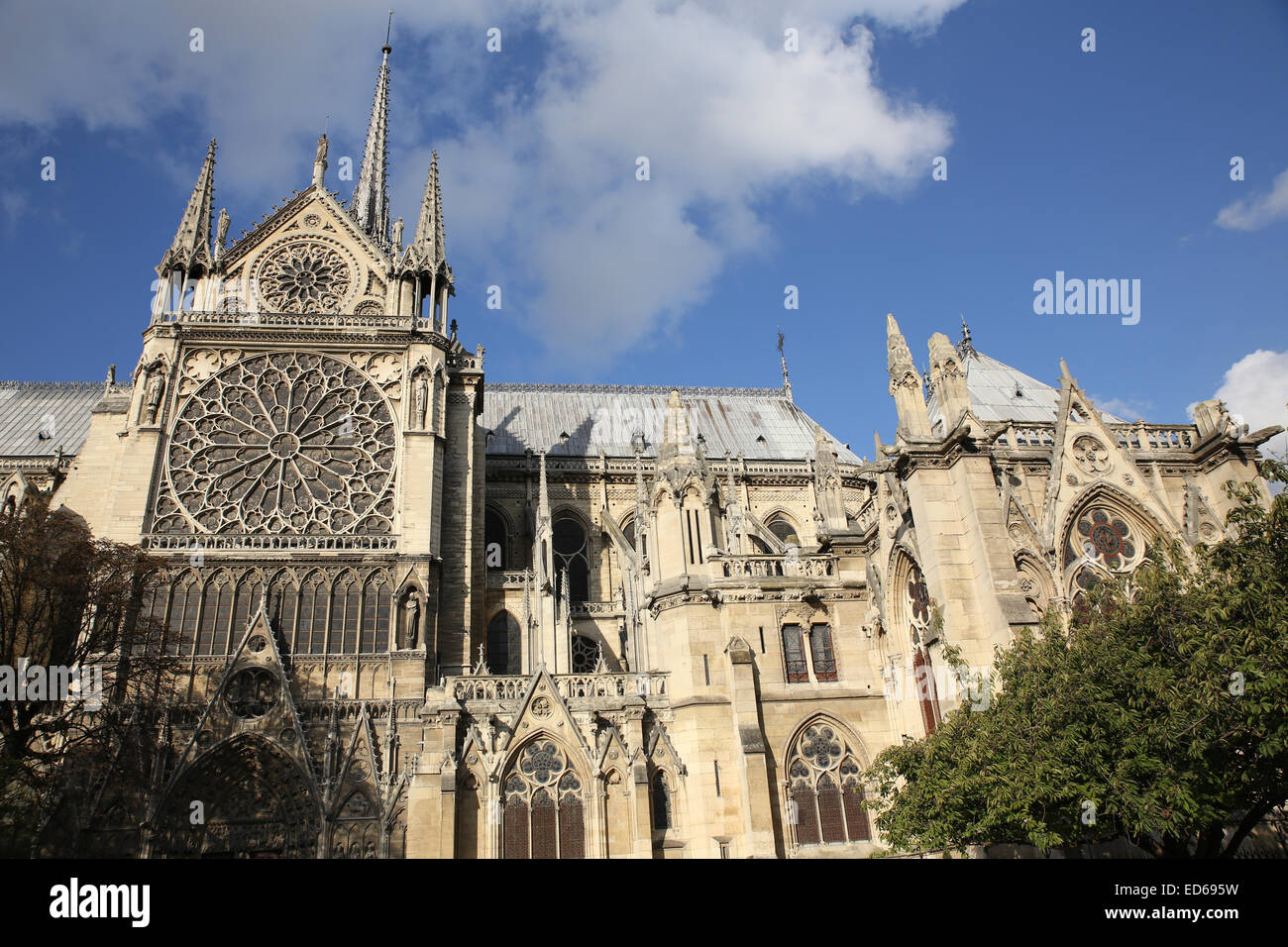 La Catedral de Notre Dame lado Foto de stock