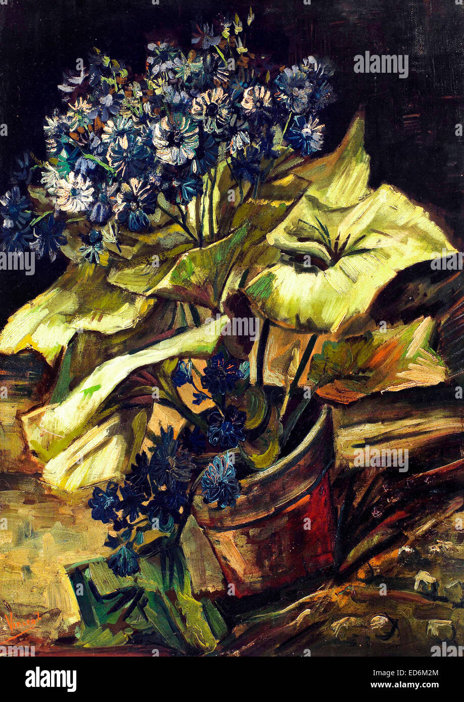 Vincent van Gogh, Cineraria 1886 Óleo sobre lienzo. Museo Boijmans van Beuningen, Rotterdam, Países Bajos. Foto de stock