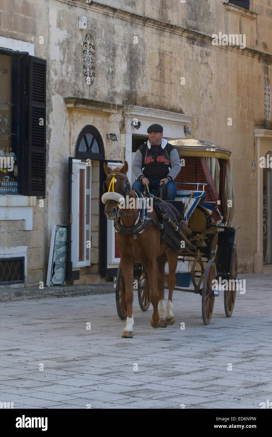 Carruaje tradicional hasta la isla de Malta en el silencio de la ciudad de Mdina Foto de stock