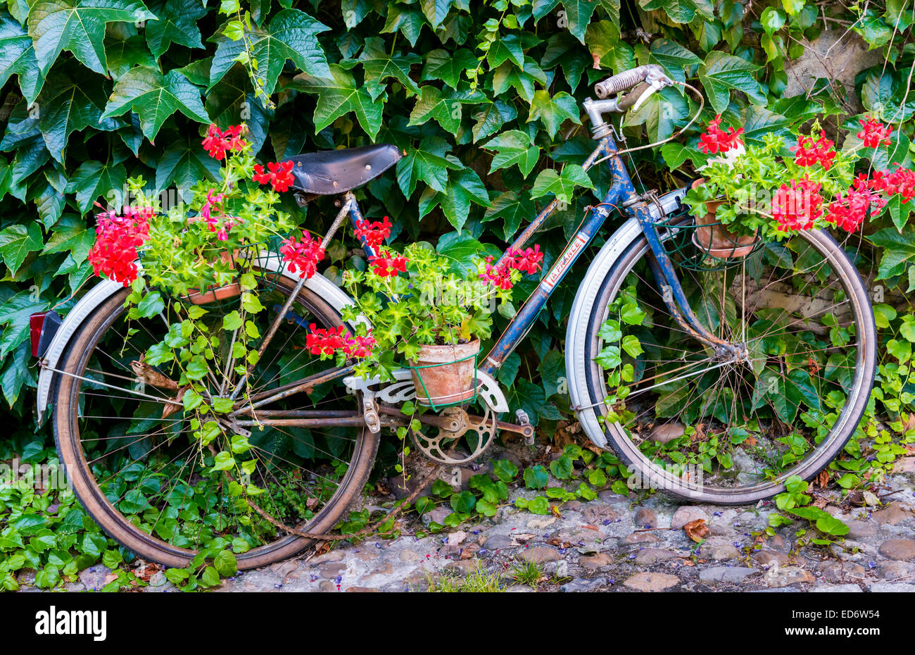 Bike pot fotografías e imágenes de alta resolución - Alamy