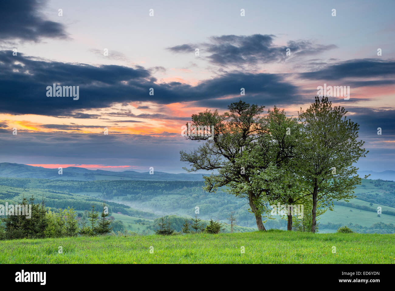 El paisaje, la zona de paisaje protegido Bile Karpaty, Cárpatos Blancos, Zitkova, República Checa Foto de stock