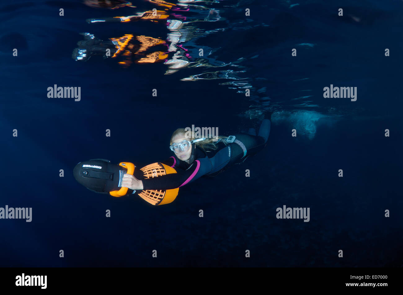 Apneista chapuzones para moto subacuática, buceo nocturno en el Mar Rojo, Egipto Foto de stock