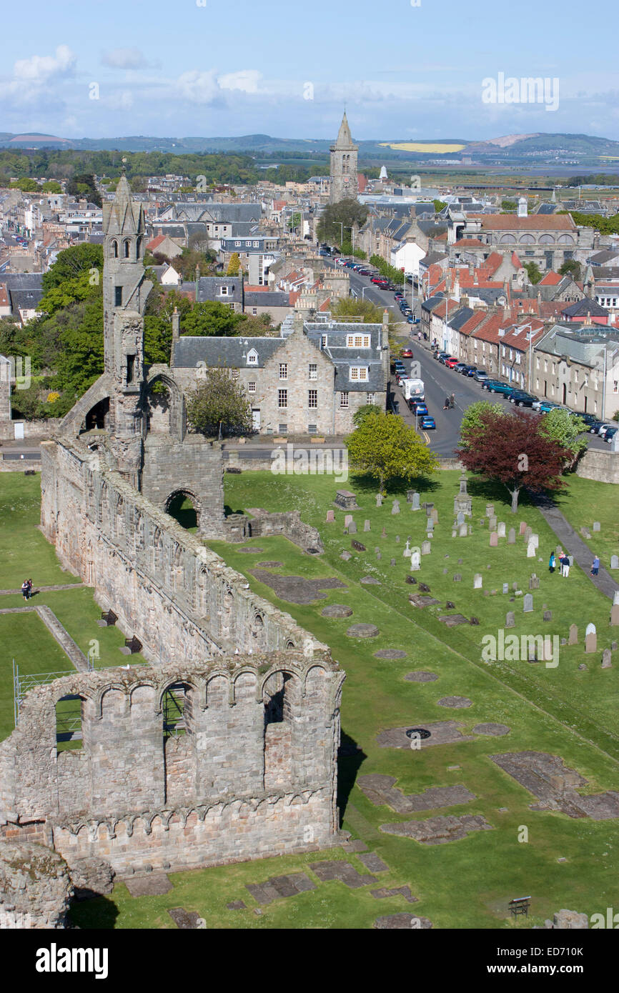 Reino Unido, Escocia, Saint Andrews, ruinas de la Catedral de St. Foto de stock