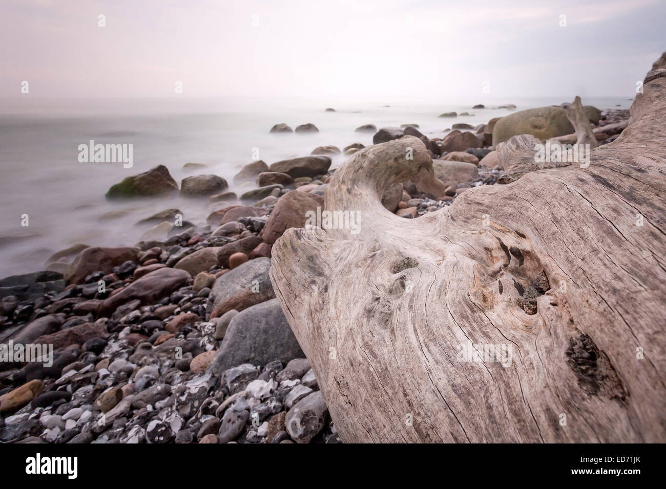 Costa Sassnitz, Parque Nacional Jasmund, Mecklemburgo-Pomerania Occidental, Alemania, Europa Foto de stock