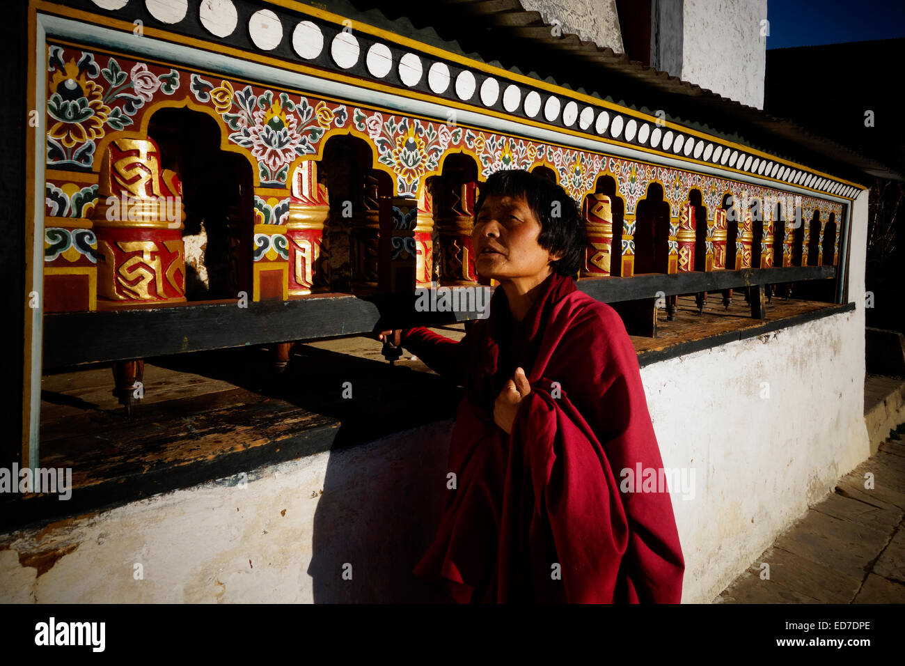 Un budista devoto girando las ruedas de oración en el monasterio de Chamkar Karchu zona valle Tang en Bhután Foto de stock