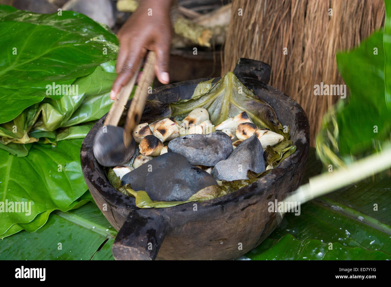Melanesia, las Islas Salomón, la isla de Guadalcanal, ciudad capital de  Honiara. Kakabona Aldea Cultural. Piedras calientes tradicionales 'comida'  Fotografía de stock - Alamy