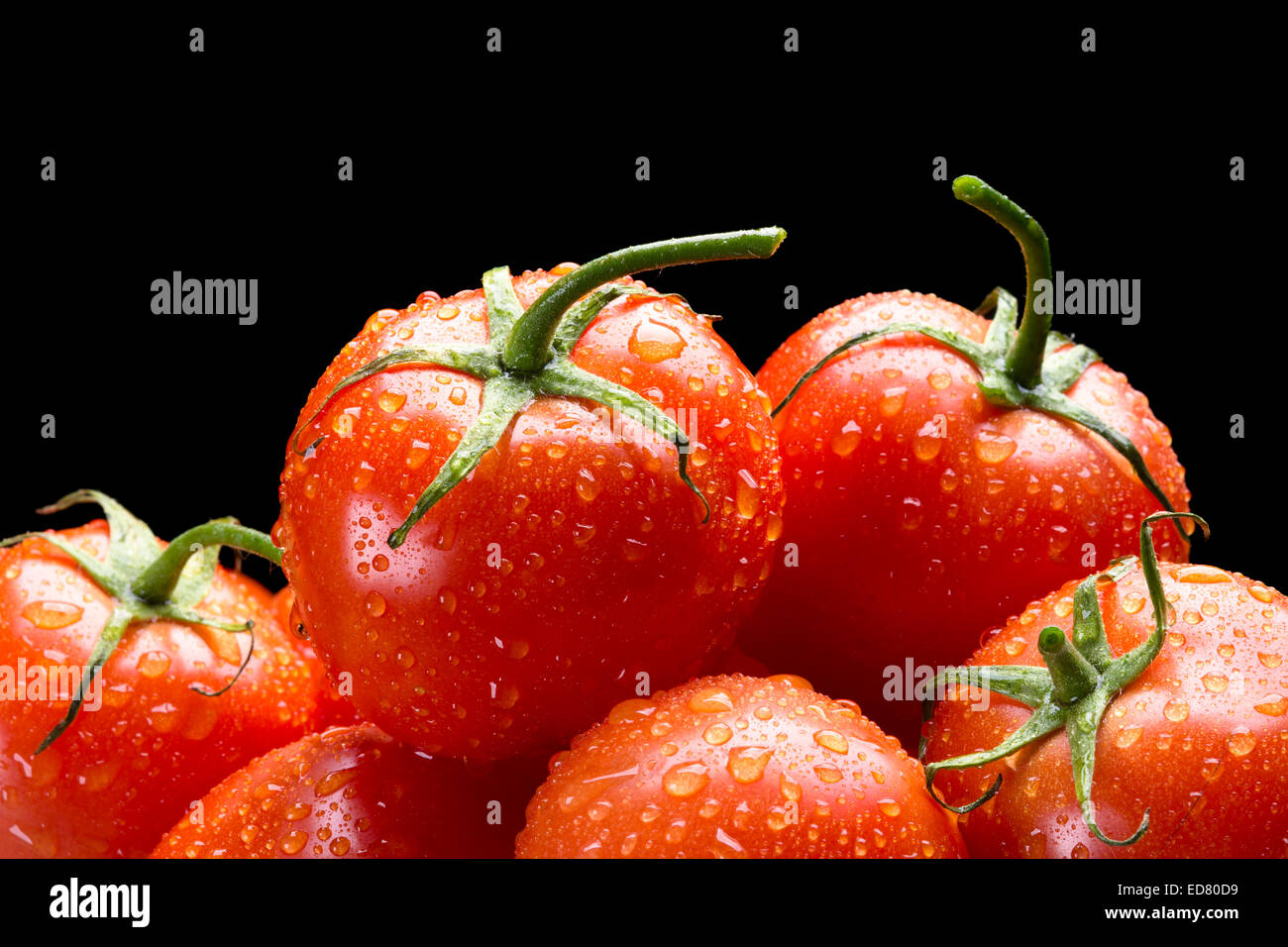 Selección de fresca, tomates rojos maduros enmarcada contra un fondo negro para la colocación de la copia. Foto de stock