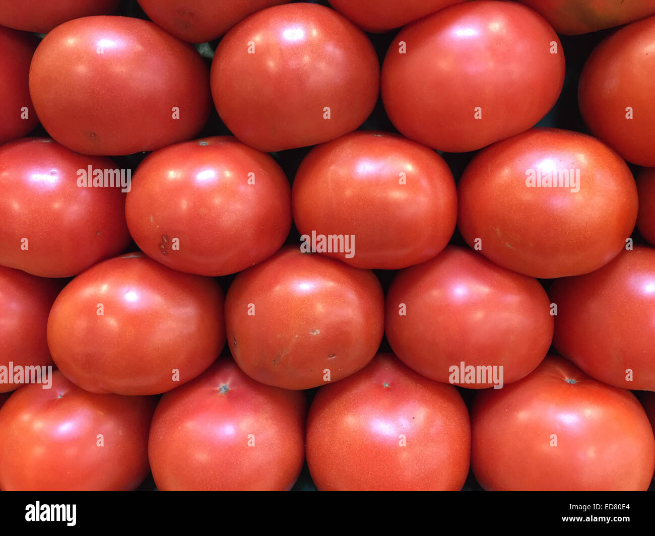 Hermosa, tomates frescos dispuestos en filas en un mercado de granjeros producen stand Foto de stock